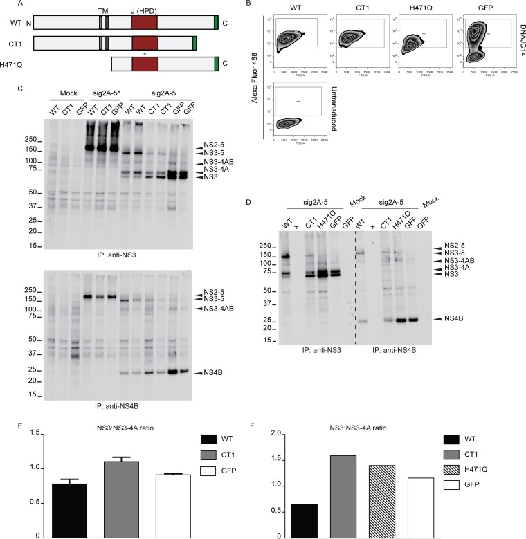 FIG 4