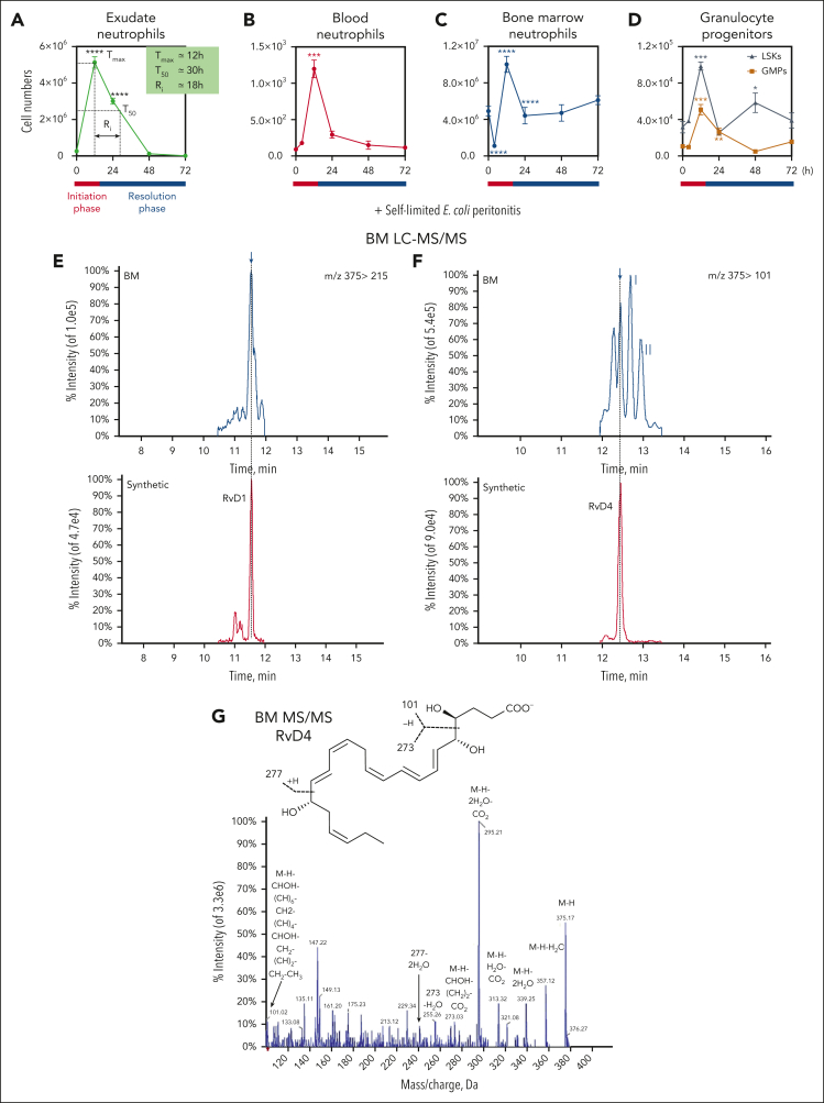 Figure 1.