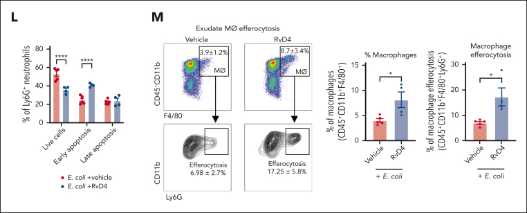 Figure 4.