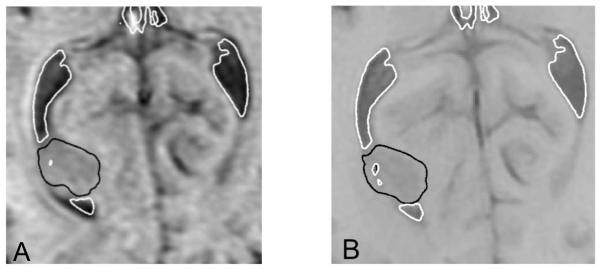 Fig. 8