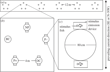 Figure 1.