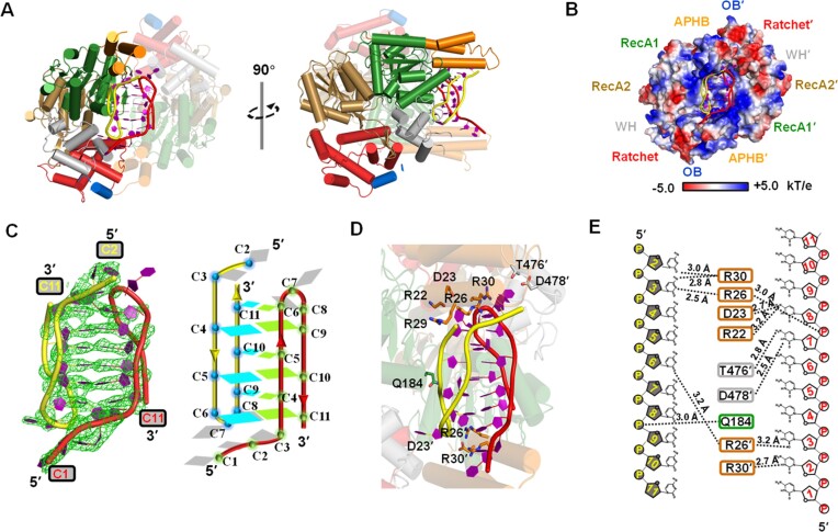 Figure 4.