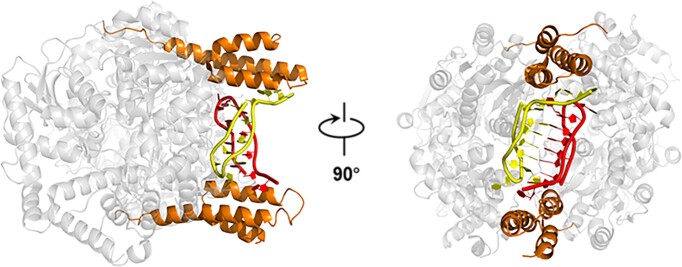 Graphical Abstract