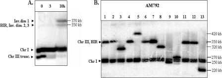 FIG. 7.