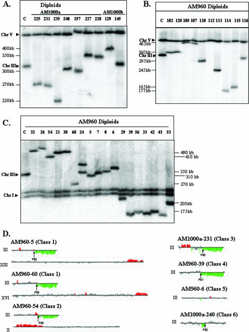 FIG. 6.