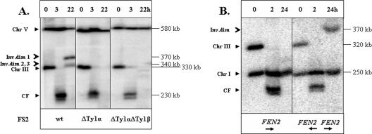 FIG. 2.