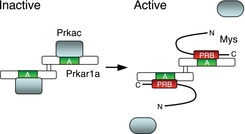 FIGURE 9.