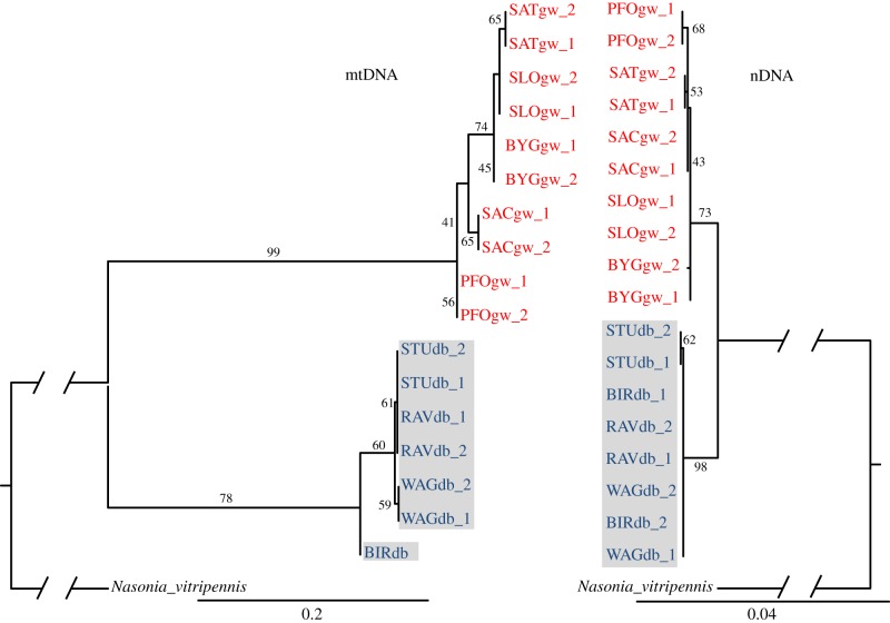 Figure 4.