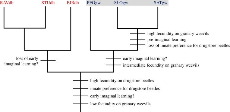 Figure 5.