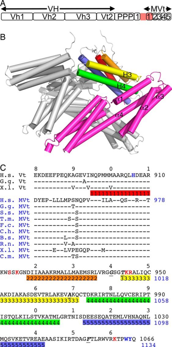 FIGURE 1.