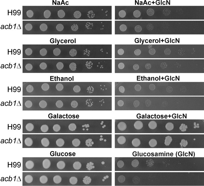 FIG 3