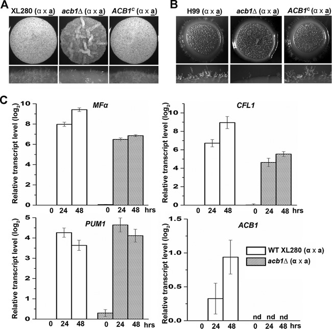 FIG 1