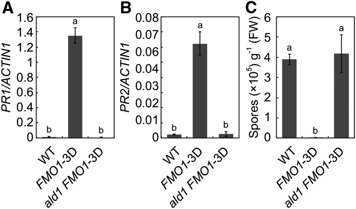 Figure 10.