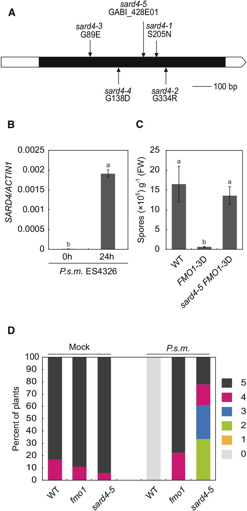 Figure 2.