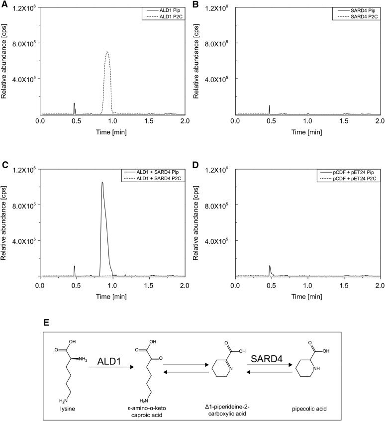 Figure 6.