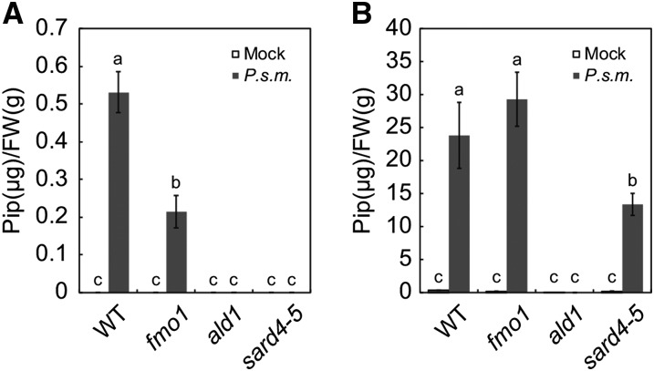 Figure 5.