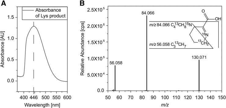 Figure 7.