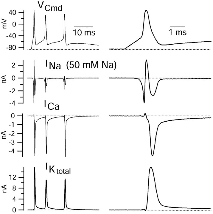 Figure 5.