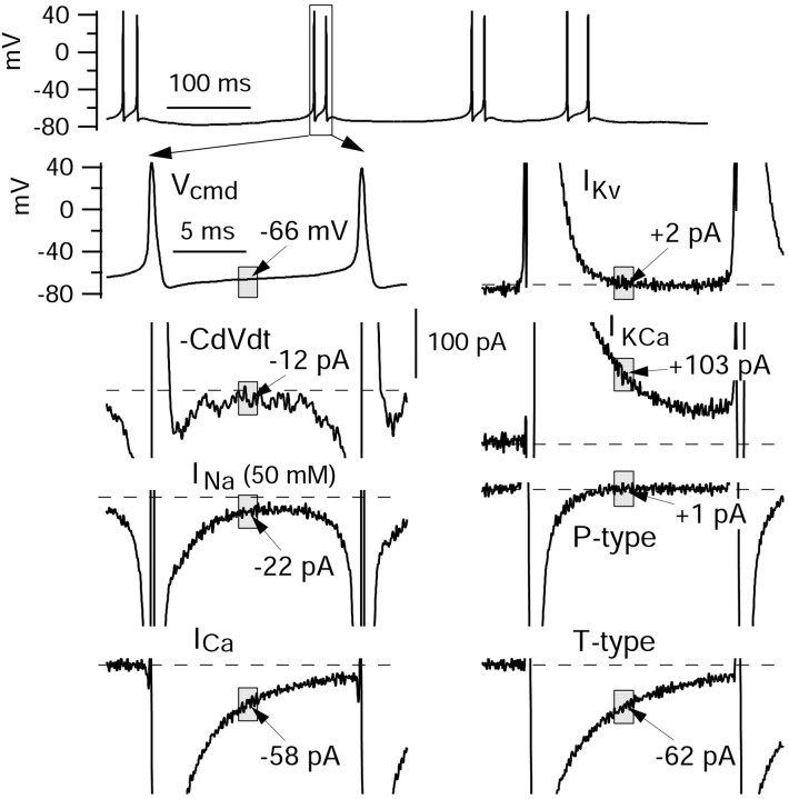 Figure 10.