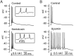 Figure 13.