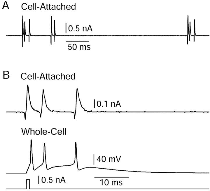 Figure 9.