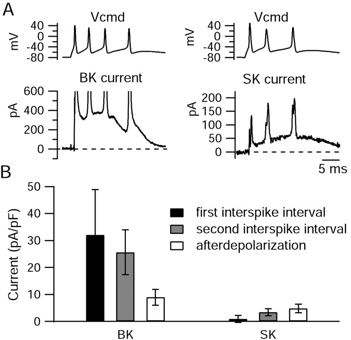 Figure 12.