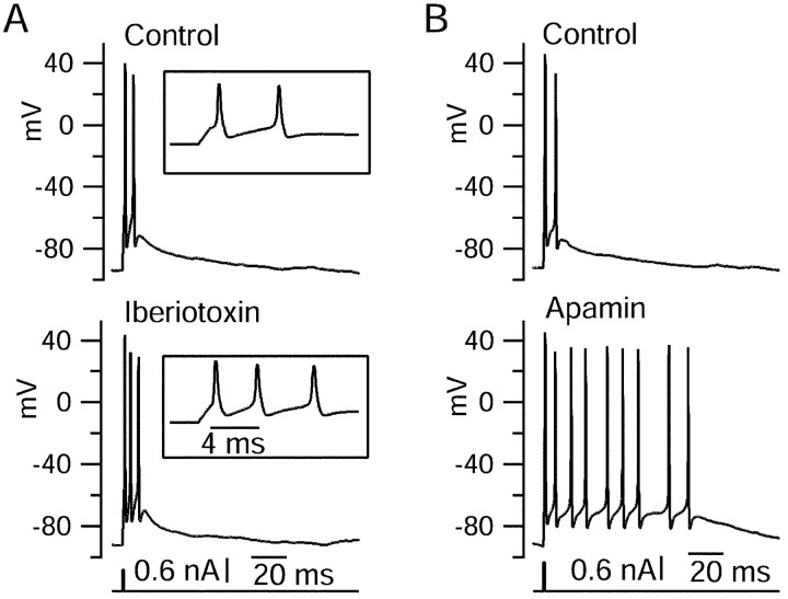 Figure 13.