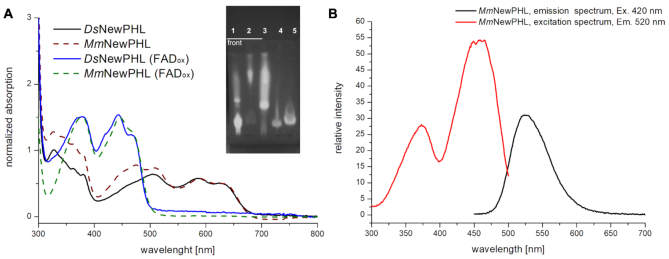 Figure 2.