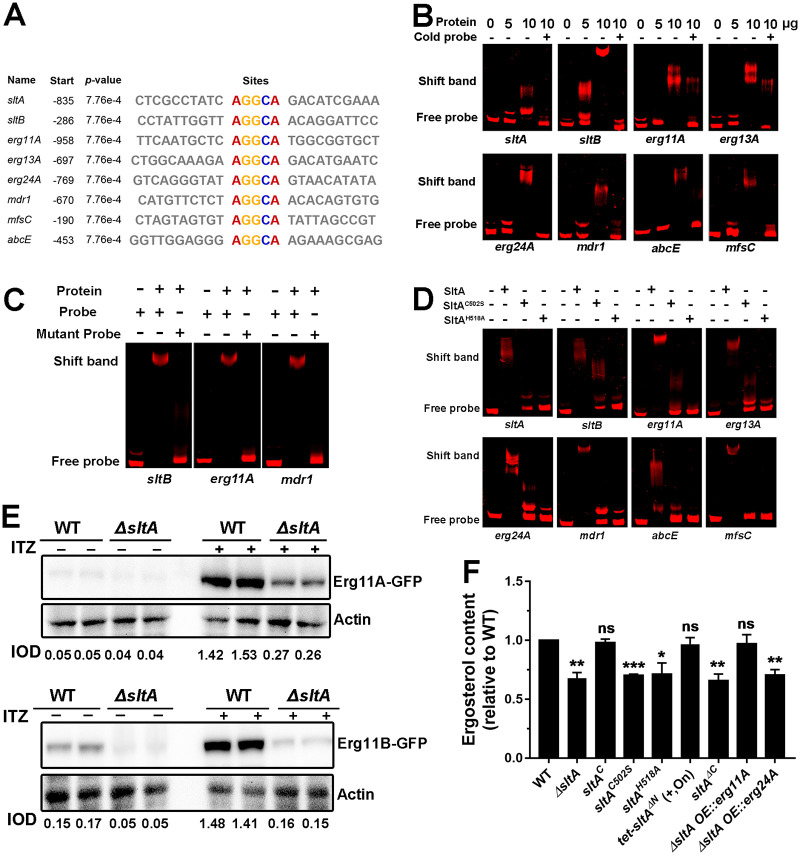 FIG 6