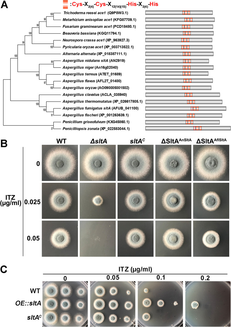 FIG 2