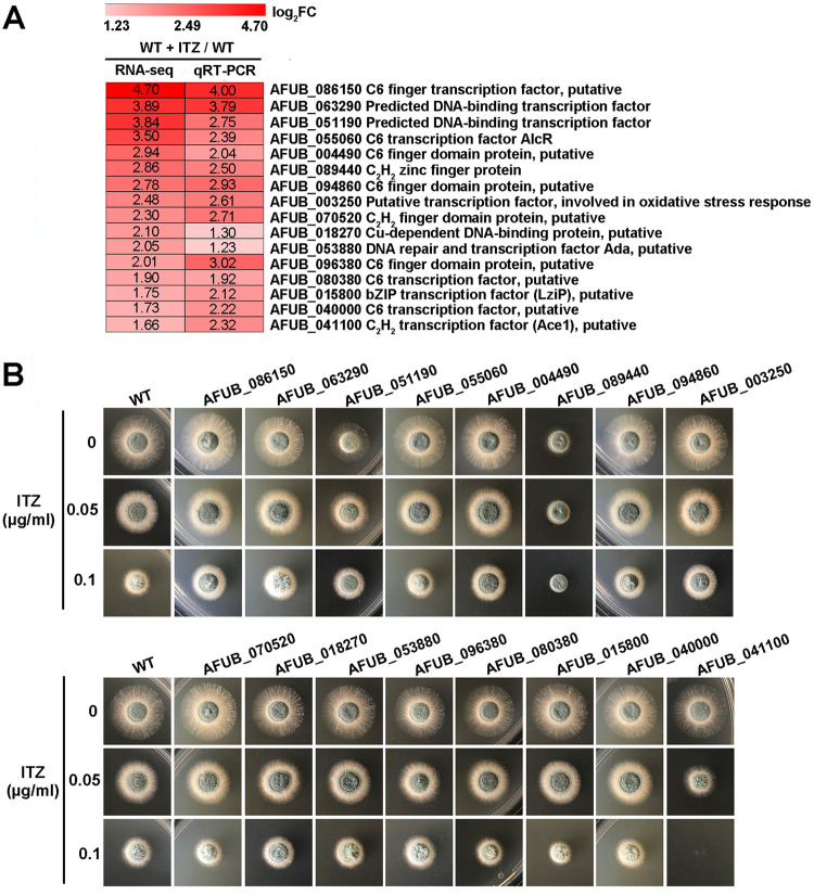 FIG 1