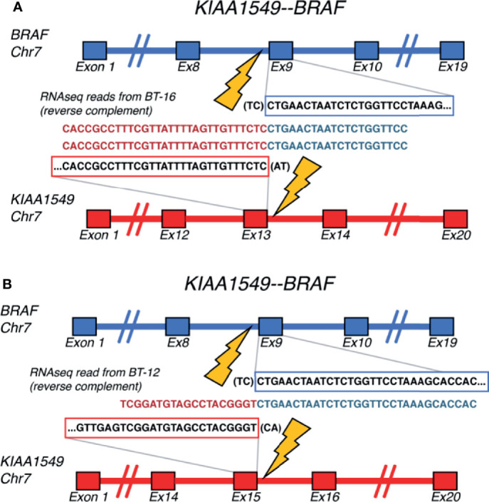 Figure 10