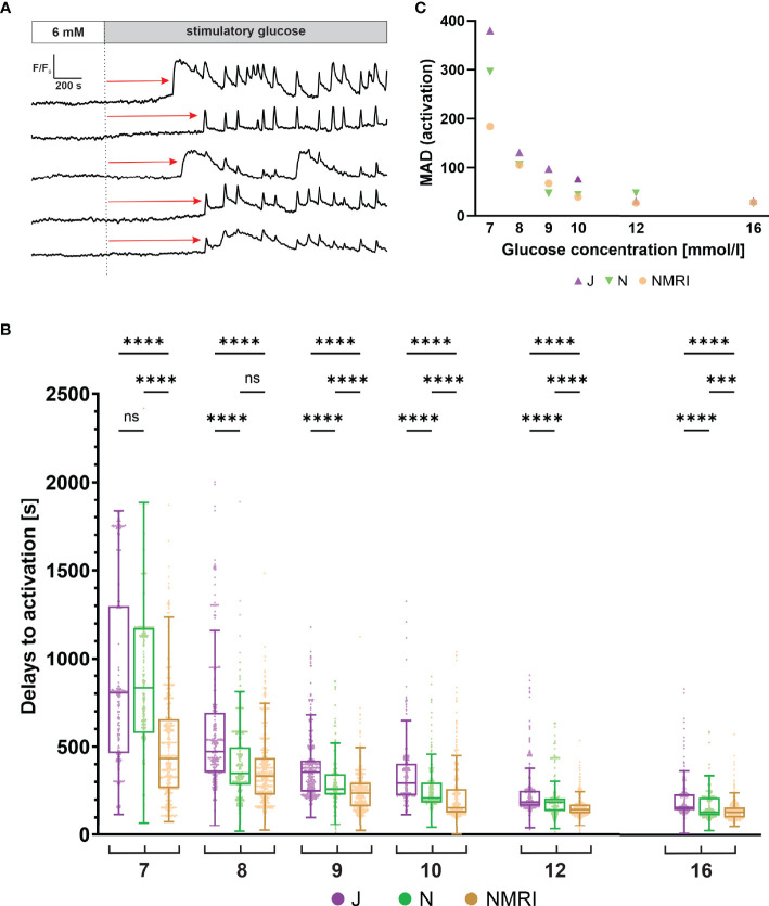 Figure 2