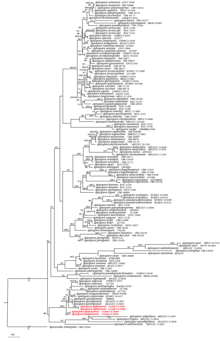 Figure 2