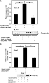 <b>Figure 3.</b>
