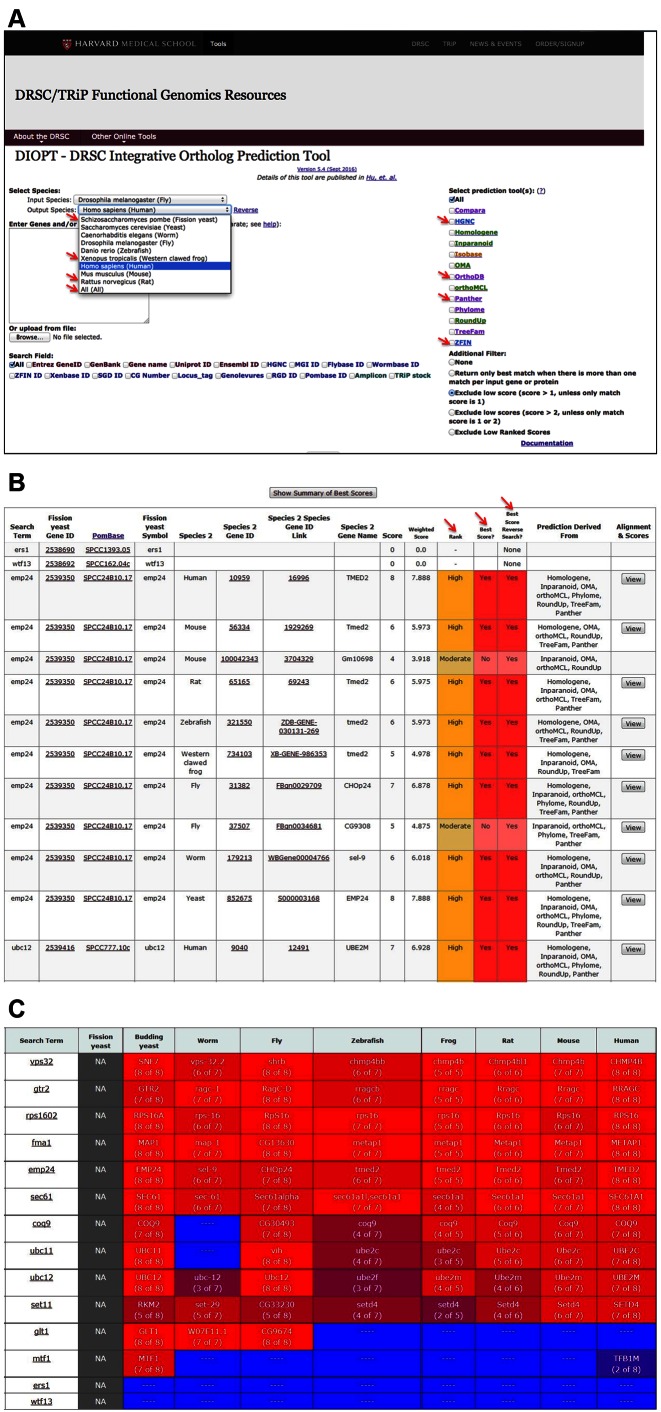 Figure 2.