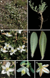Figure 13.