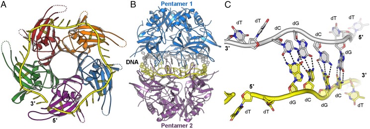 Fig. 2.