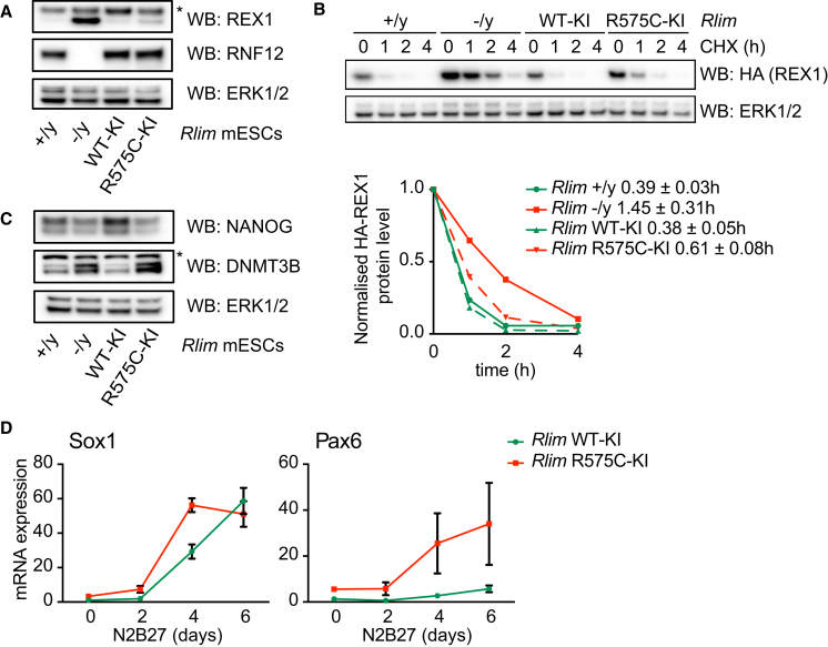 Figure 5