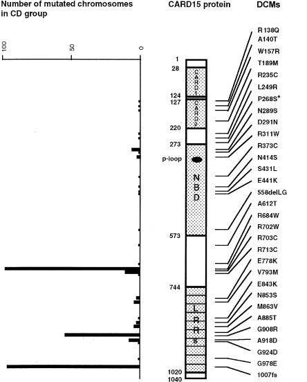 Figure  2