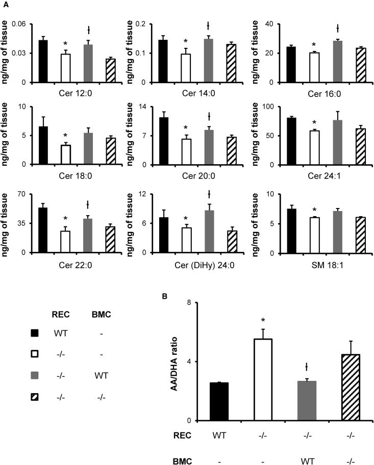 Figure 4