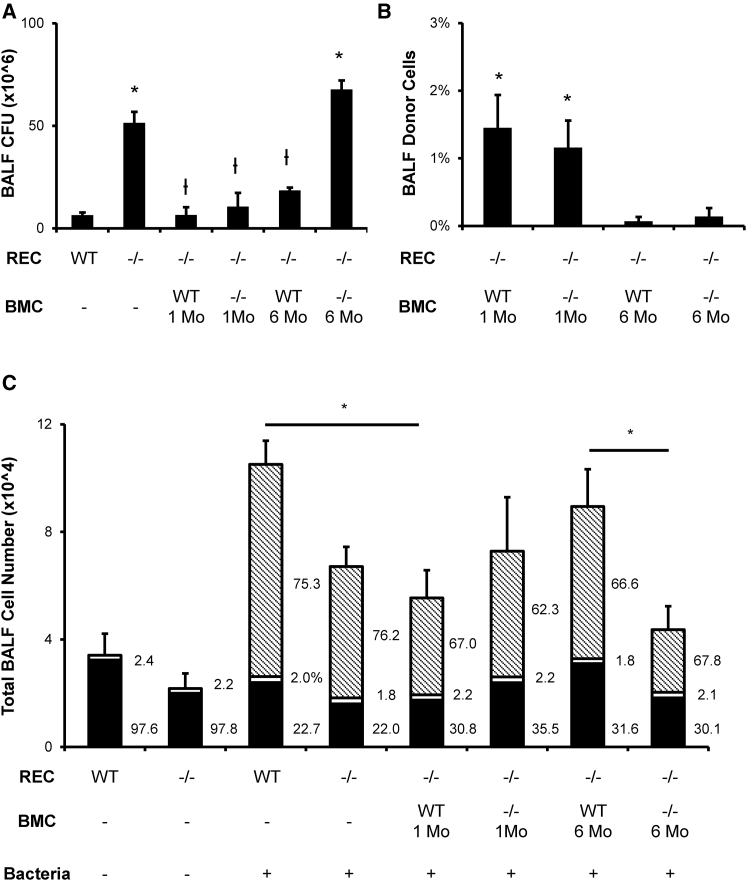 Figure 6