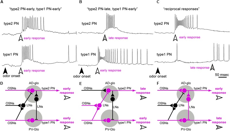 FIGURE 9