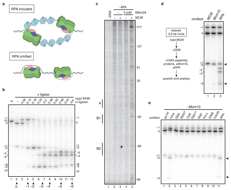 Extended Data Figure 2