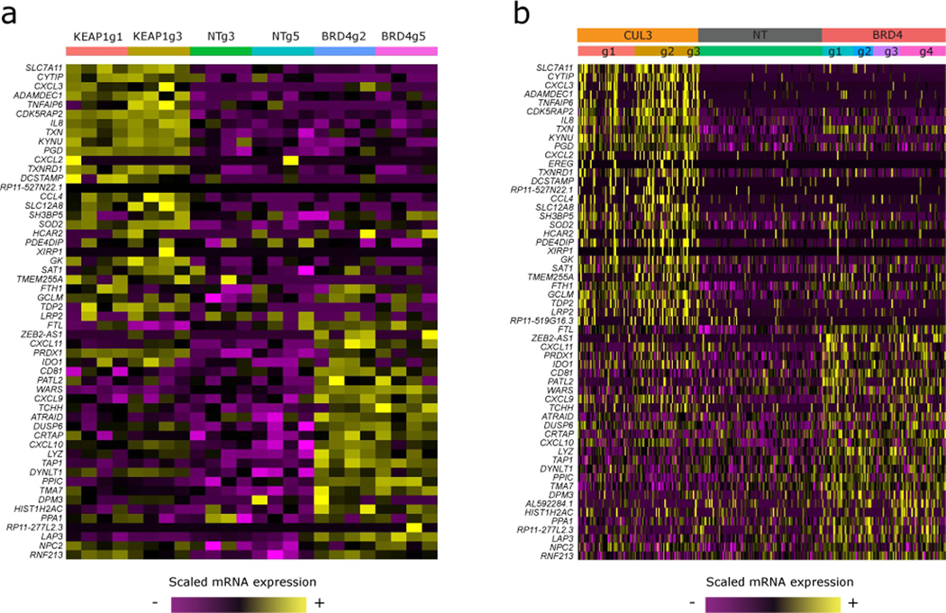 Extended Data Fig. 8