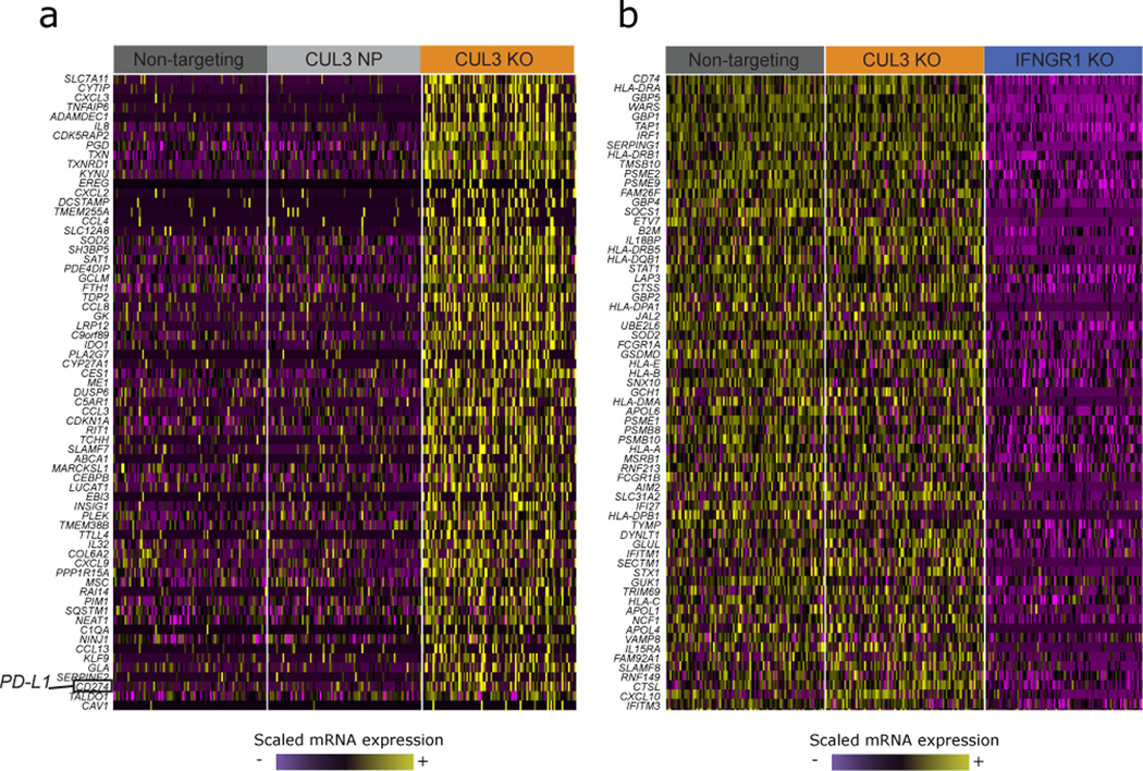 Extended Data Fig. 9