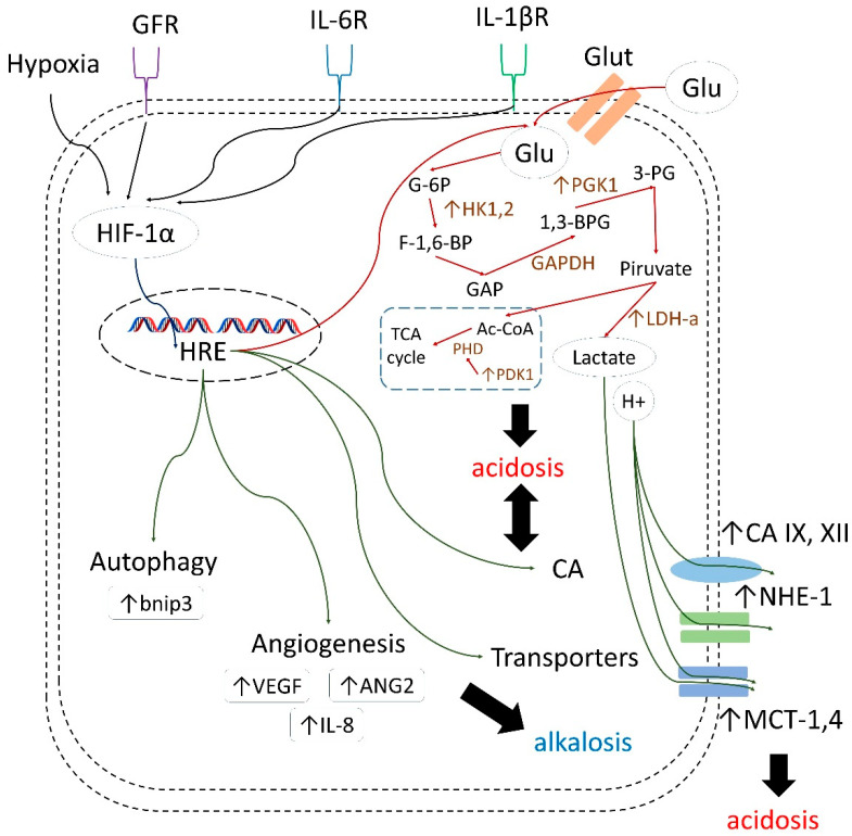 Figure 21