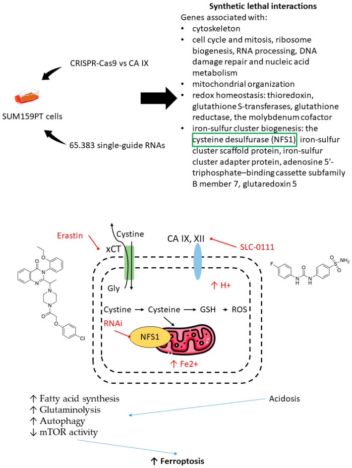 Figure 22