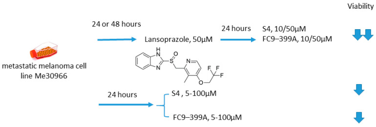 Figure 19