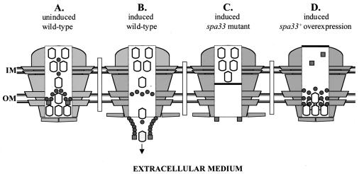 FIG. 8